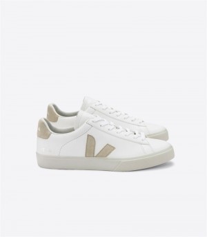 Sneakers Uomo Veja Campo Chromefree Leather Almond Bianche | Italy-760584